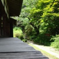 酷暑の鎌倉「浄光明寺」、（２０２４初夏）。