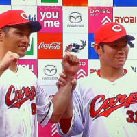 アジサイのお花に紅シジミ蝶