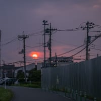 7月4日(金) 暗闇散歩-おぼろ太陽の日の出