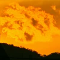 一緒に翔んでいく