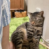 時計師の京都時間