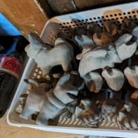 おお慌て