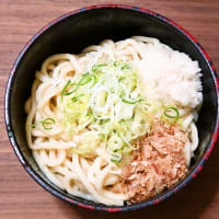 家で朝ご飯（冷しおろしうどん）（2024年8月9日）