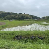 雨が少ない