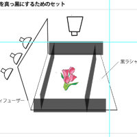 スタジオ撮影テクニック（スタジオ実習 　背景を真っ黒に）