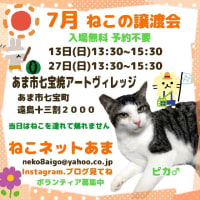(=^・^=)あまねこ情報【トップ固定】