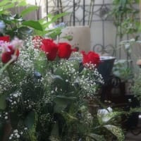 リーガちゃんと赤いバラの花束