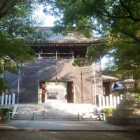 速谷神社社殿の修復工事