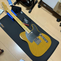 telecaster baby white-guard