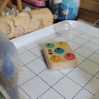 初めて見るおもちゃは怖い？