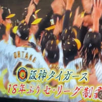 【栄光の架橋/ ゆず】