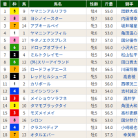 ［北九州記念（Ｇ３）］ヤマニンアルリフラ、３連勝で重賞V！