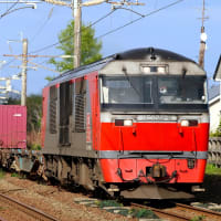 Yahoo!オークション -「d51-498」(ホビー、カルチャー) の落札