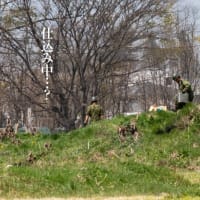 松本駐屯地祭2025　5