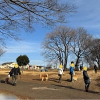 第135回　お掃除会結果報告