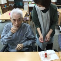 いちごが採れました♫