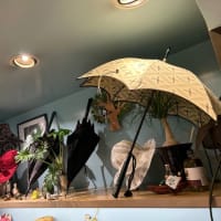 「国分寺Ostium日傘を着る」展　ディスプレイ
