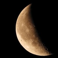 りんごのフラン病には困っています。月齢23.7のお月様