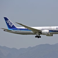 最近見た航空機　　福岡空港