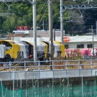 No.2248　チョイ走り、春は明日香へ京田辺へ