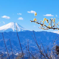 久しぶりの登山