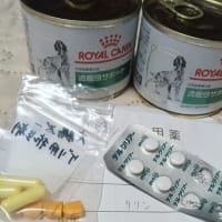 病気多いね