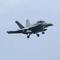 キター！2年ぶりのCVW-5艦載機２　Chippyは4機も。