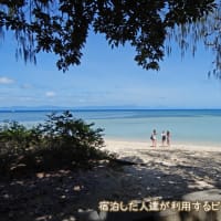 寒いと思い出す南国