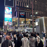 更に　散歩