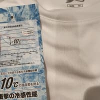 「氷撃冷感」Tシャツを購入