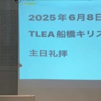 えっ一羽だけ？