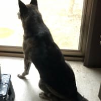 プー終わりました。