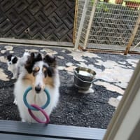 明日の遠足は開催します。