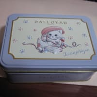 缶と　梅の花