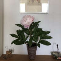 立てばシャクヤクとは？