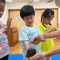 4歳児（ゆず組）なすの苗ときゅうりの苗をうえました。