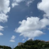 昼のお散歩は木陰がいっぱいの南郷上ノ山公園へ