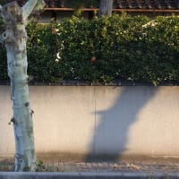 境港市1.12（明治町）