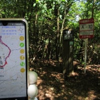 長岡京里山公園から西山古道への山道を初めて歩くともの凄い方にお会いしました　その2　2024年5月29日