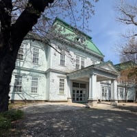 沖舘川沿いの春景色！