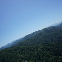 夏らしくなってきましたねぇ♪