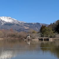 春を待つ 水面に映す 伊吹山