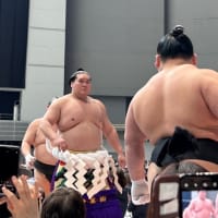 大相撲を観にきました〜！！