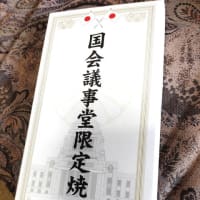面白かった…衆議院傍聴