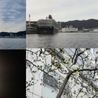 昨夕，今朝の風景　神戸港／夕景，クルーズ船，立待月，サクラサク