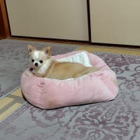 パンがいっぱい