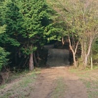 「大平山の登り口④」下見のつもりが‥‥「汗、汗、汗」