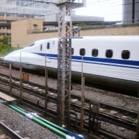 (50枚) 2024年秋 山陰の旅(5の5)[夜行列車サンライズ帰京編]