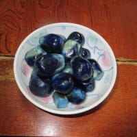 キャベツ収穫できた