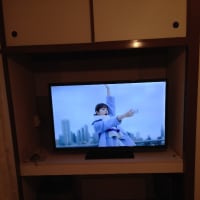 シアタールームのテレビが届きました。